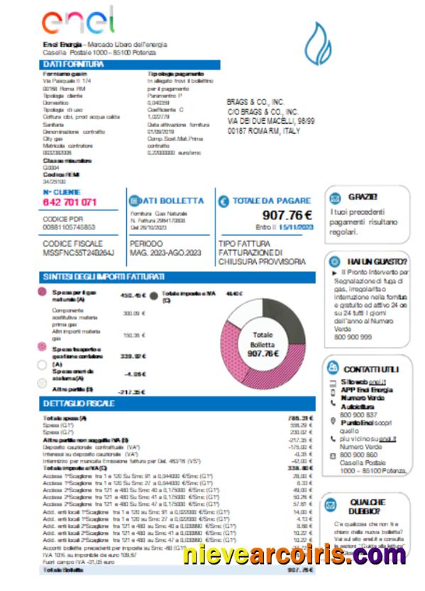 Enel Energia utility business bill